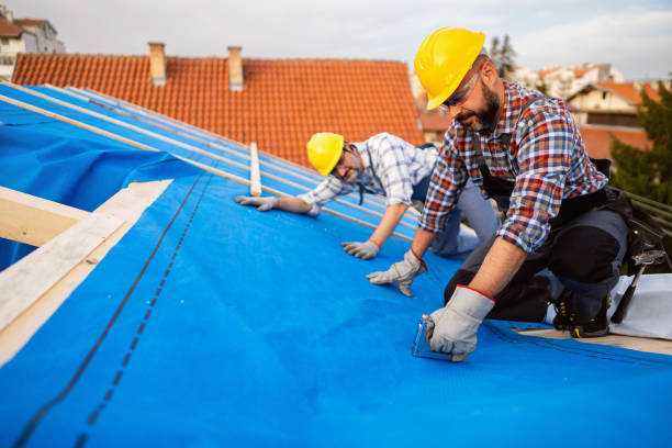 Best Roof Gutter Cleaning  in North Lewisburg, OH