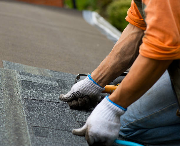 Professional Roofing Contractor in North Lewisburg, OH